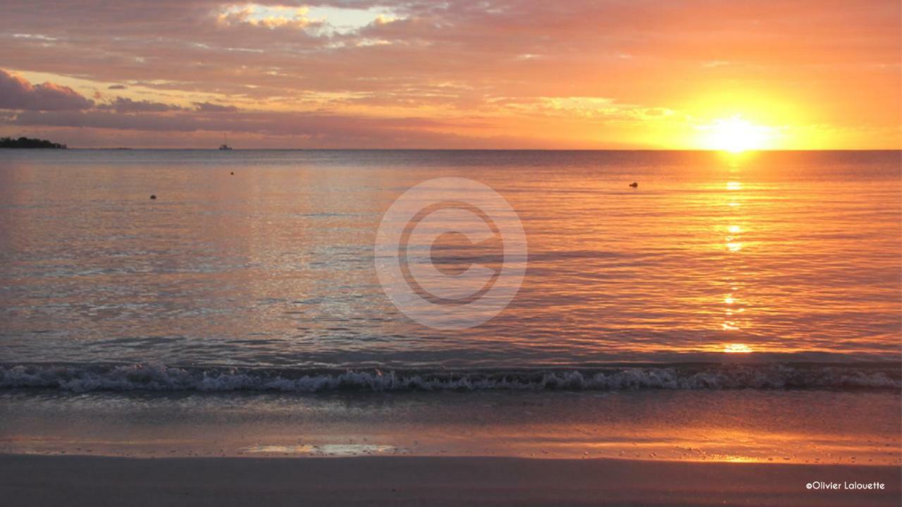 Fantastic Spacious Beachfront Villavacances Grand-Baie Eksteriør bilde