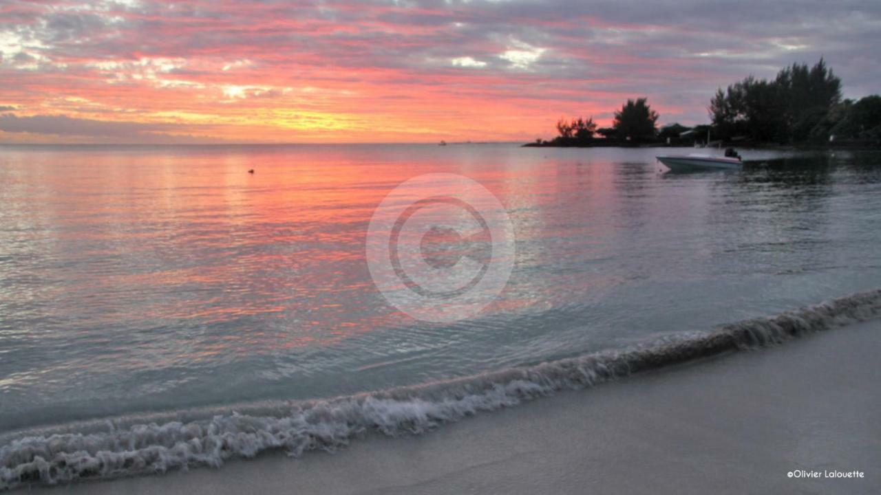 Fantastic Spacious Beachfront Villavacances Grand-Baie Eksteriør bilde